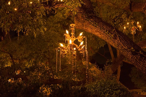 The Chandelier Tree of Silver Lake, Los Angeles