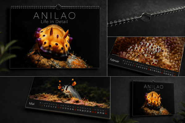 ANILAO – Life in Detail 2027