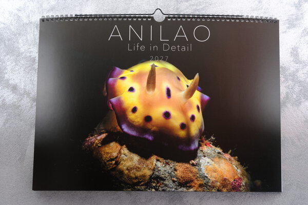 ANILAO – Life in Detail 2027