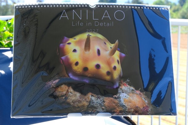 ANILAO – Life in Detail 2027 – Bild 7