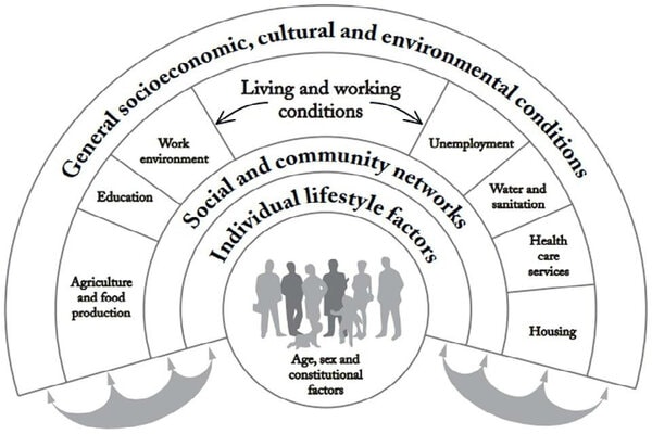 Dahlgren and Whitehead main determinants of health