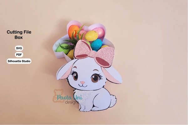 Digital Caja conejo - nivel experto - Imagen 4