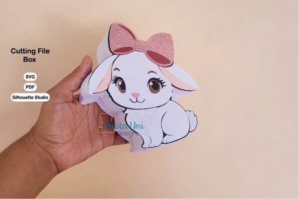 Digital Caja conejo - nivel experto - Imagen 3