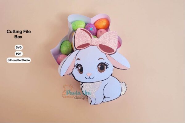 Digital Caja conejo - nivel experto