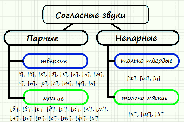 Согласные Звуки: Твердые И Мягкие, Сонорные, Шипящие, Свистящие