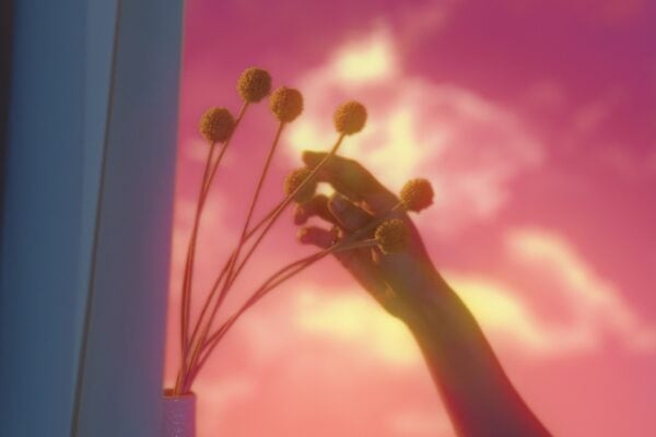 vlcsnap-2020-02-17-20h27m04s583