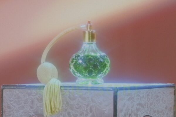 vlcsnap-2020-02-17-20h44m36s816