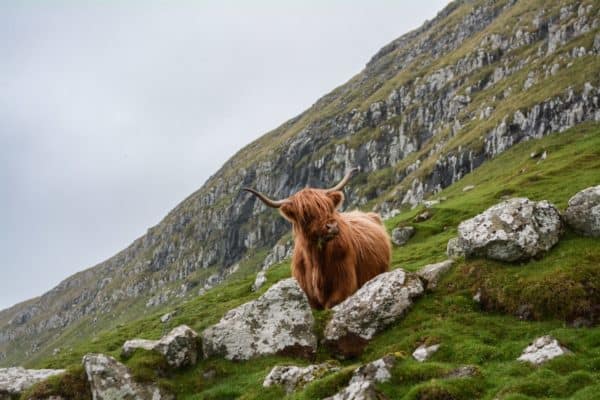 7 errori da evitare quando si fotografa la fauna selvatica