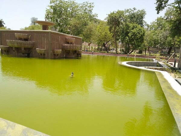 Foutain in Subhash garden
