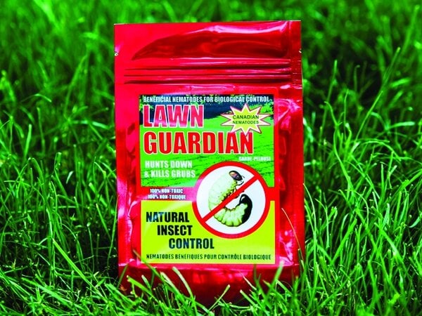 Annual Lawn Care Pack Program - Grub Control PLUS - One time purchase - Image 3
