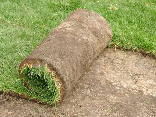 laying_turf_grass_lawn_care