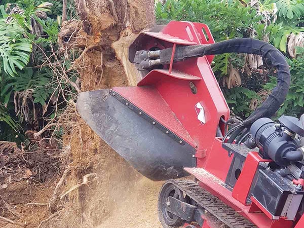 stump_grinding_grinder_removal_nsw