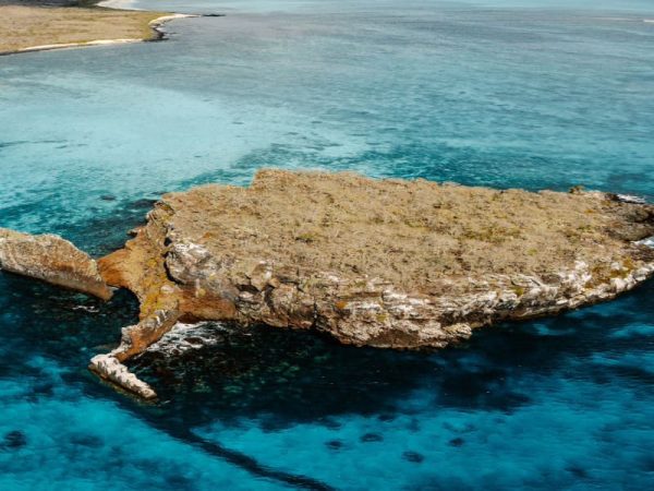 Tour isla Española