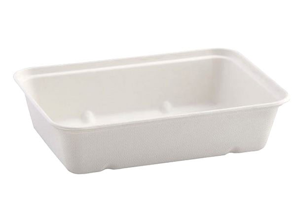 Biodegradable Container 500ml (500)