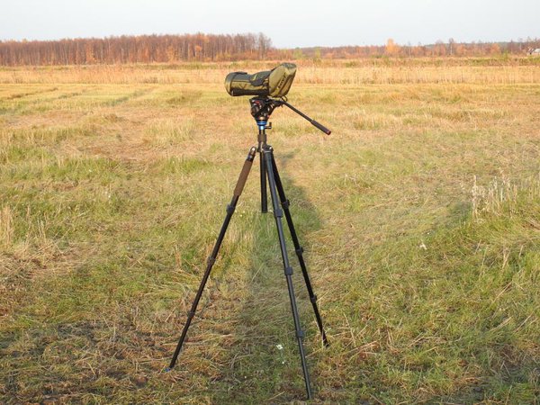 Focus Viewmaster ED 20-60X80 WP - Image 3