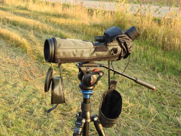 Focus Viewmaster ED 20-60X80 WP - Image 5