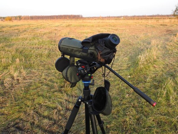 Focus Viewmaster ED 20-60X80 WP - Image 7