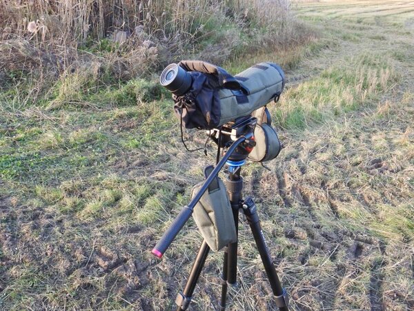 Focus Viewmaster ED 20-60x80 WP