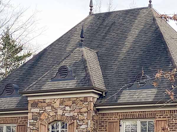 roof with algae growth