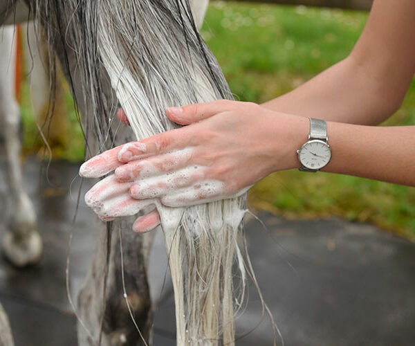 Šampon za konje limun 1l ODM 3