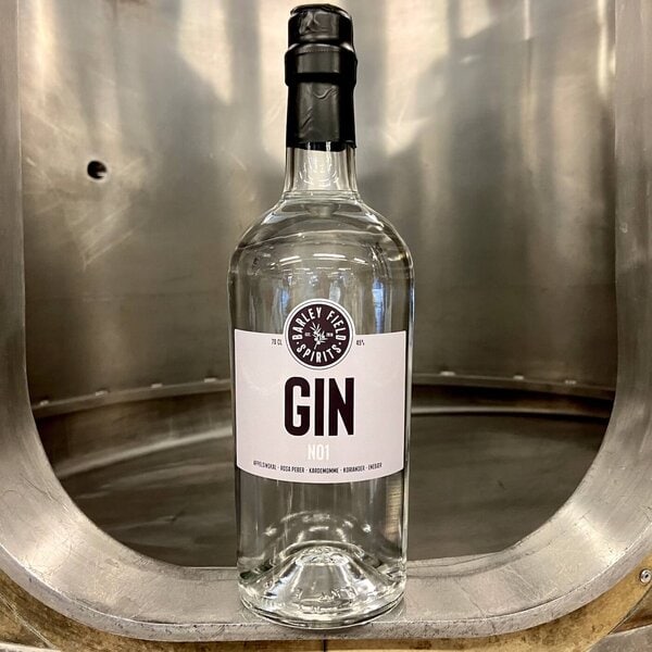 Gin