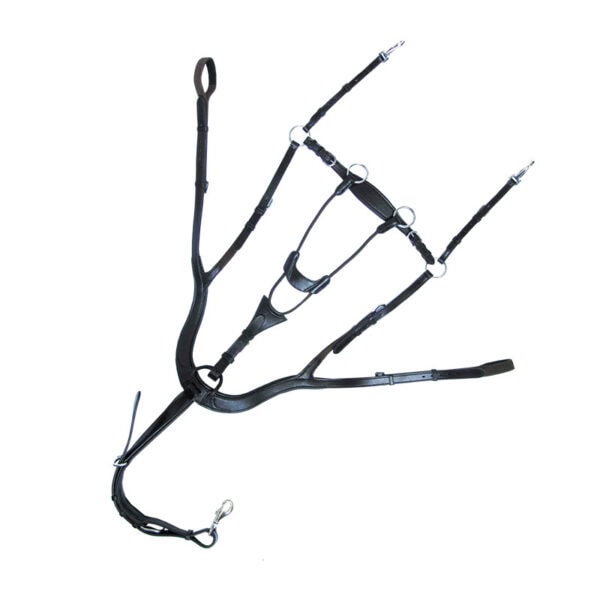 Pršnjak i martingal Caya 4