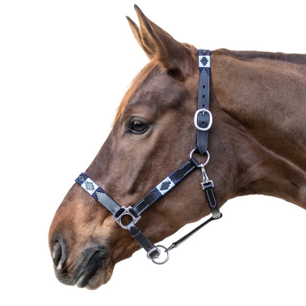 Ular Polo Waldhausen