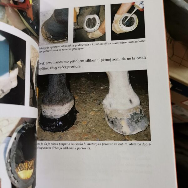 Potkivač - Dušan Stanković 2