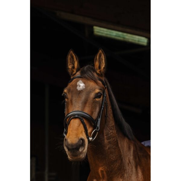 Uzda Dark Norton Pro