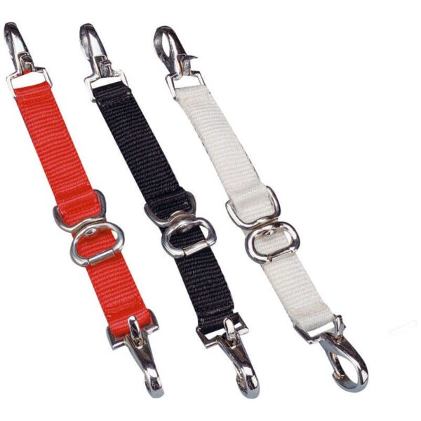 Produžetak za lonžiranje Norton