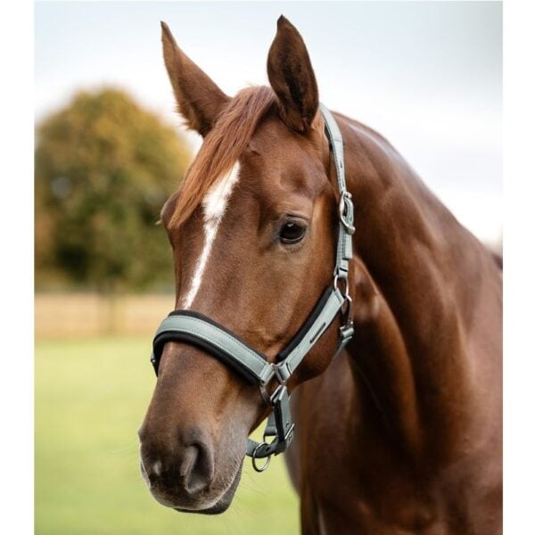 Ular Soft Touch Waldhausen