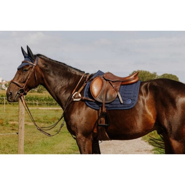 Pršnjak i martingal 5 points Norton