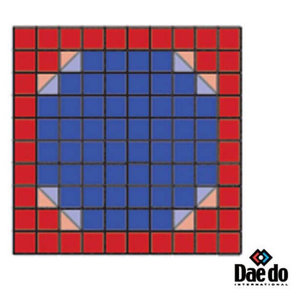 Tatami Homologado WT Octagonal - Imagen 5