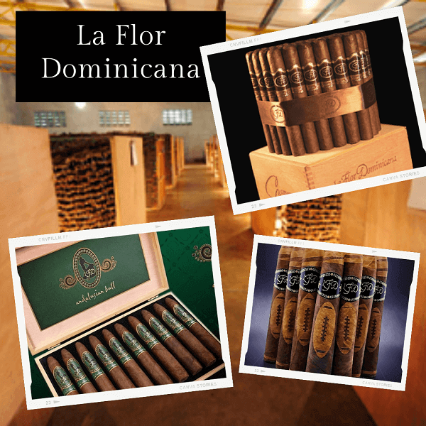 Meiga - La Flor Dominicana - cigares Meiga - La Flor Dominicana - cigares