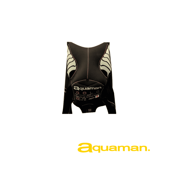AquamanWetsuitGoldCellLadyInternalBust