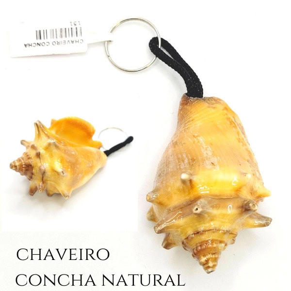 Chaveiro Concha do mar – natural