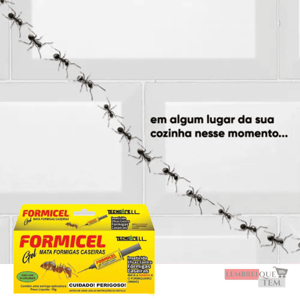 Inseticida Formicel Mata Formigas Caseiras