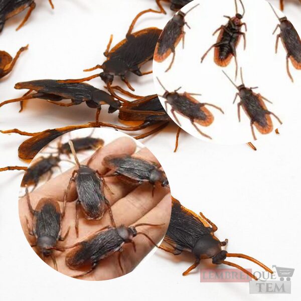 Kit Baratas Halloween decoração pegadinha C/5 borracha – Barata