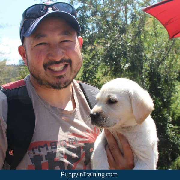 Little yellow Lab puppy being held by his human (me, Colby)