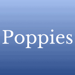 Poppies
