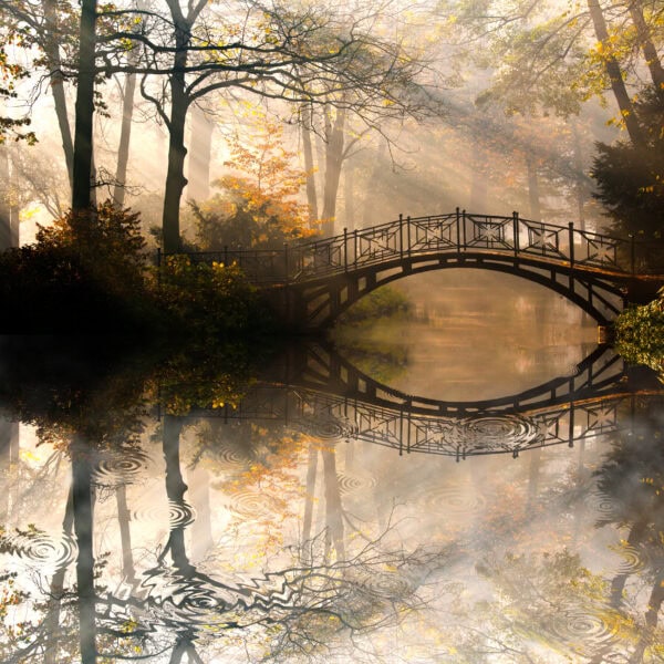 catturare i colori dell'autunno