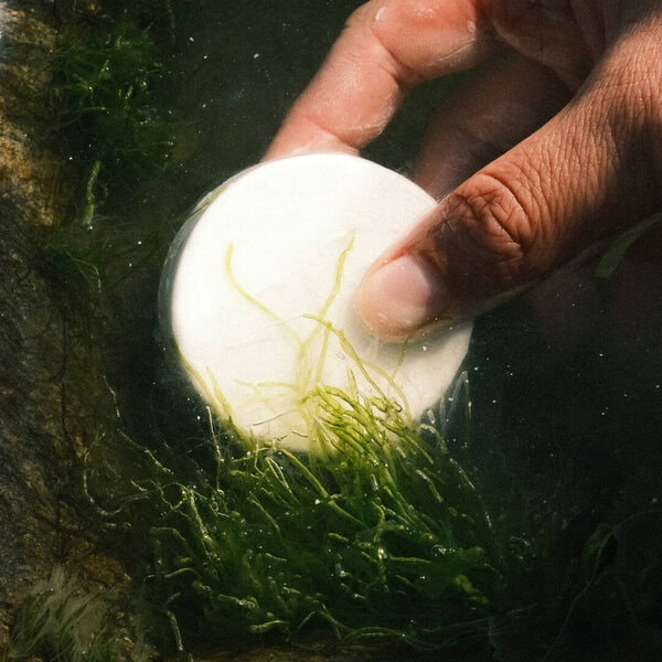 Solid Facewash Sensitive Skin Water Aloe Vera Gesichtsreinigung