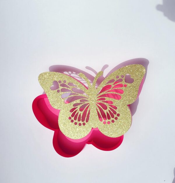 2022-02-24-16-15-05-380 Mariposa