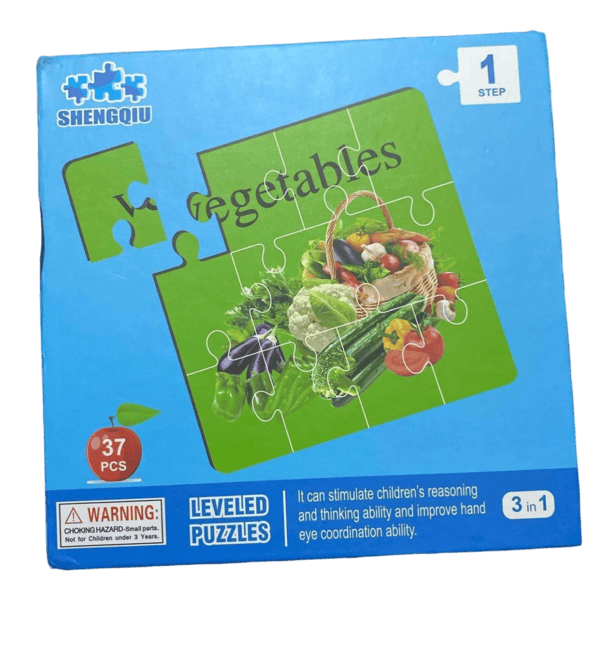 Rompecabeza Magnético 3 en 1