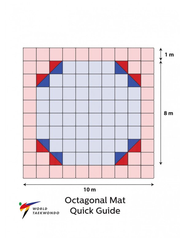 Tatami Homologado WT Octagonal - Imagen 3