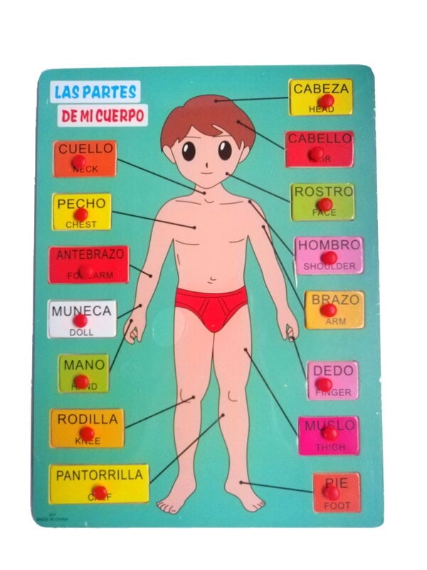 Puzzle Encaje Cuerpo Niño