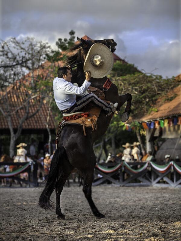 Xcaret Plus - Image 3