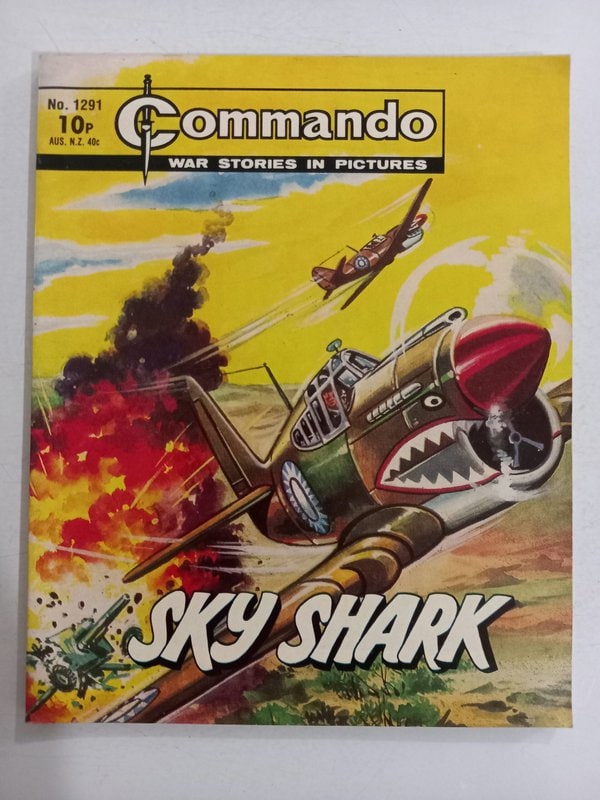 Commando 1291
