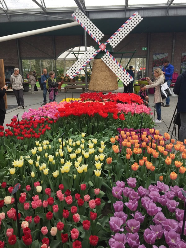 Spring trip to Amsterdam + Keukenhof