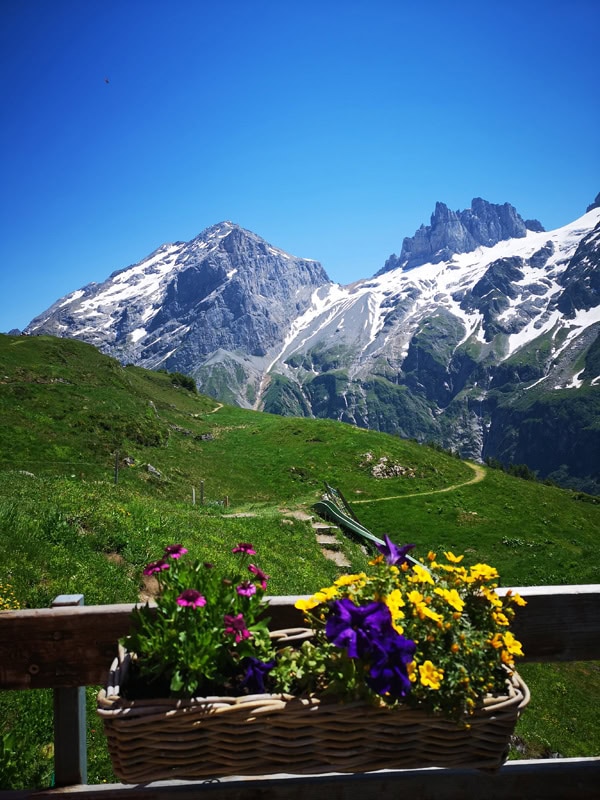 Sommer in der Schweiz